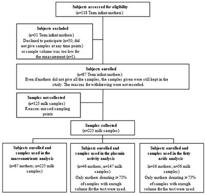 A longitudinal study of fatty acid profiles, macronutrient levels, and plasmin activity in human milk
